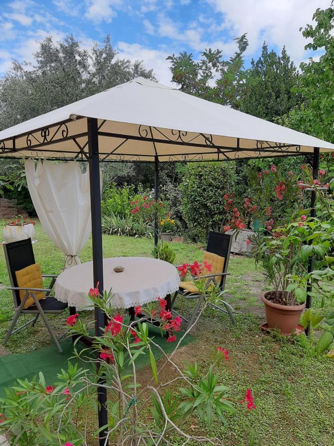 Studio With Garden Near The Sea كوبر المظهر الخارجي الصورة