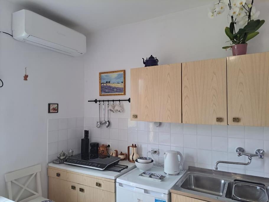 Studio With Garden Near The Sea كوبر المظهر الخارجي الصورة