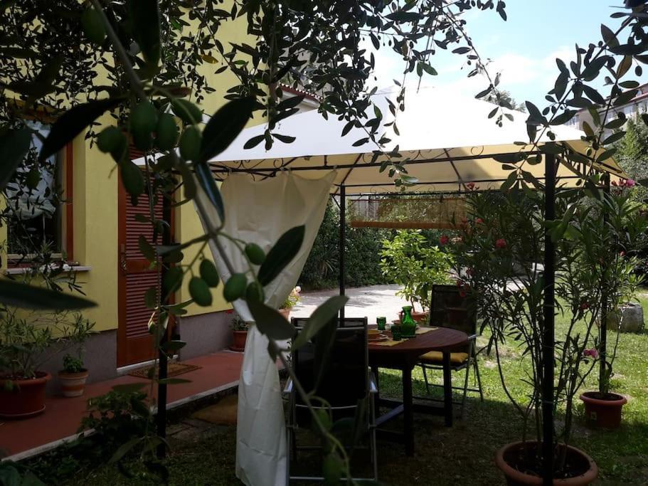 Studio With Garden Near The Sea كوبر المظهر الخارجي الصورة